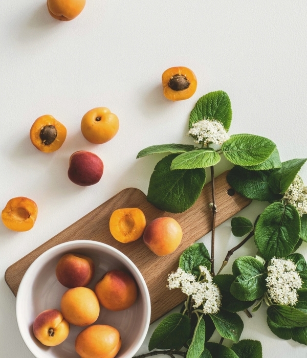 nutritionniste rééquilibrage alimentaire Toulouse