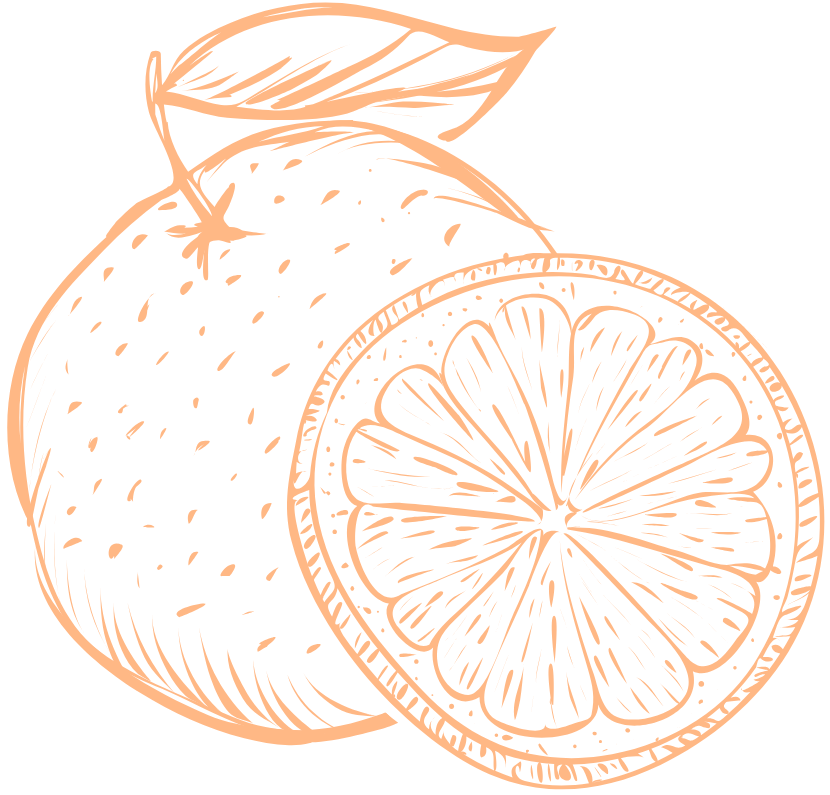 nutritionniste rééquilibrage alimentaire Toulouse